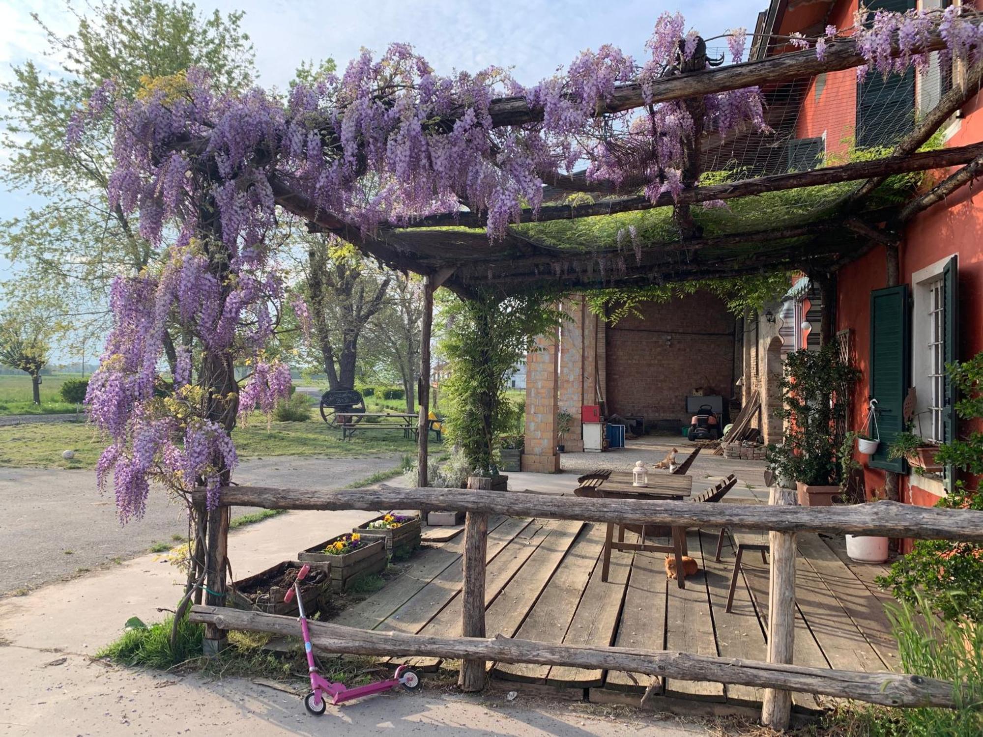 فيلا Fattoria Amelia Santa Caterina  المظهر الخارجي الصورة