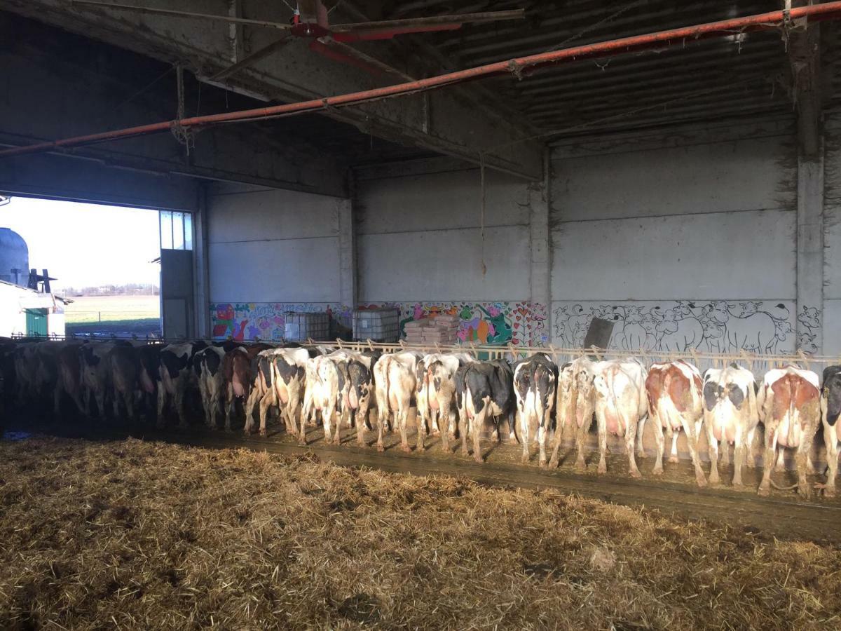 فيلا Fattoria Amelia Santa Caterina  المظهر الخارجي الصورة